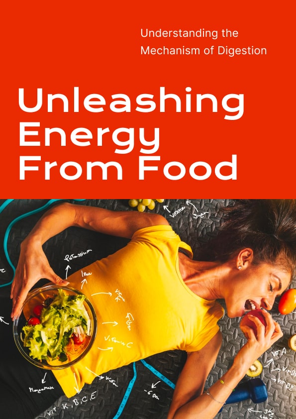 Unleashing Energy from Food